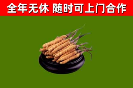 彰化县烟酒回收冬虫夏草.jpg